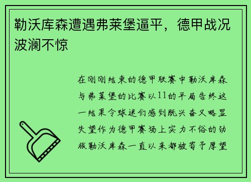 勒沃库森遭遇弗莱堡逼平，德甲战况波澜不惊